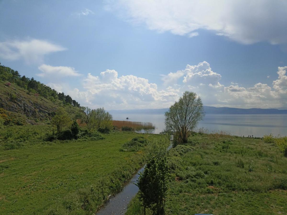 萨拉别墅住宿加早餐旅馆 奥赫里德 外观 照片